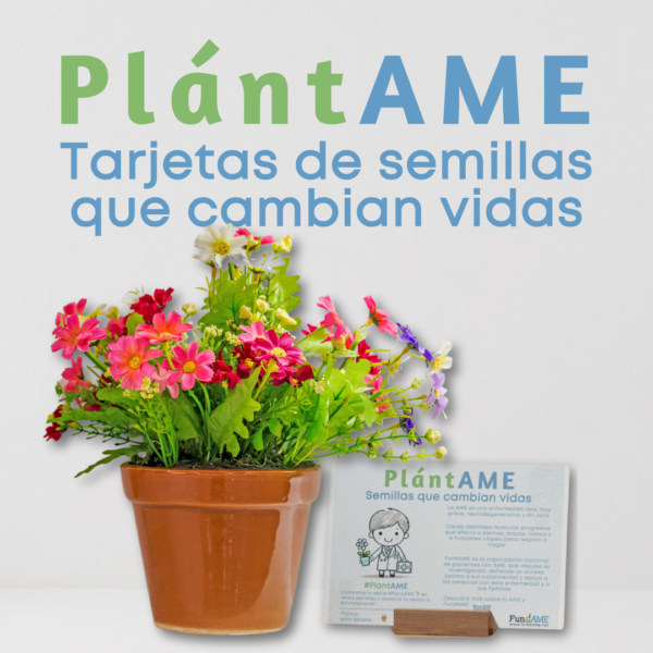 Tarjetas de semillas que cambian vidas